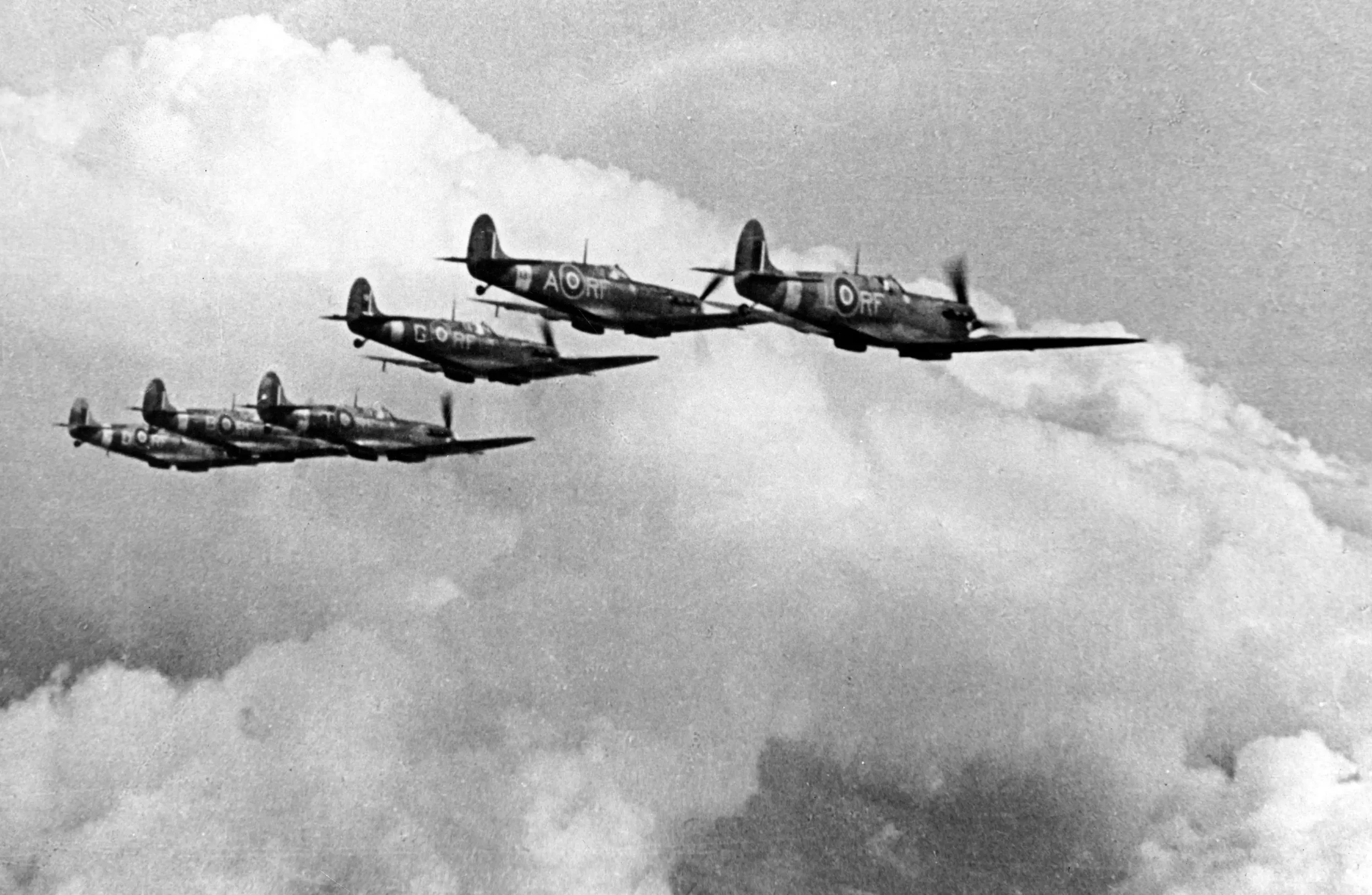 raf polish records