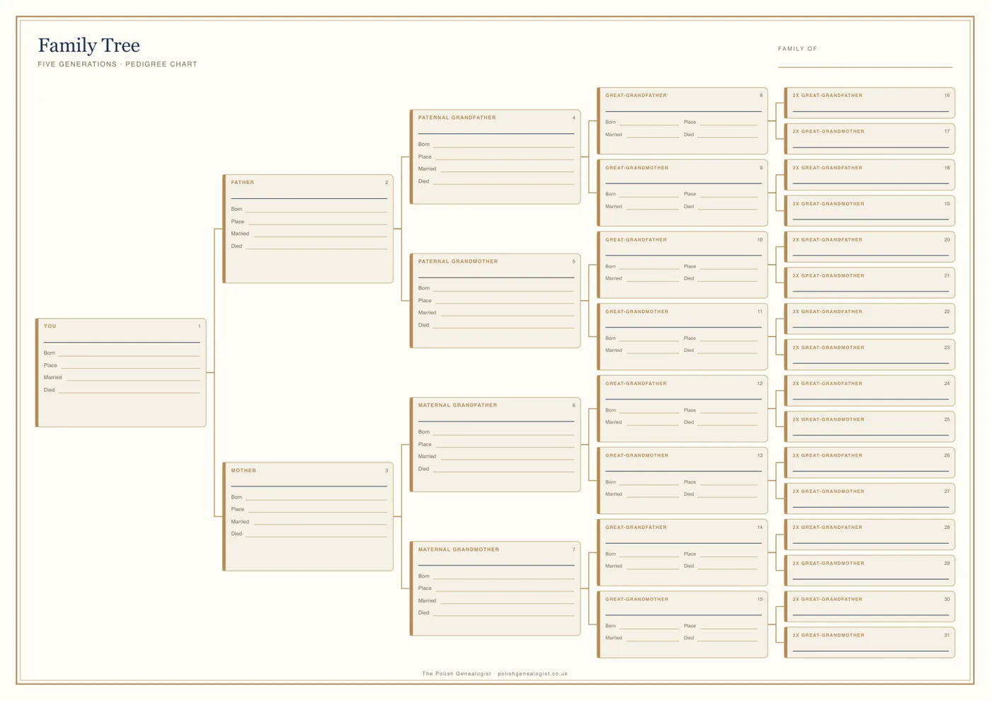 Printable five-generation family tree template with boxes for 31 ancestors